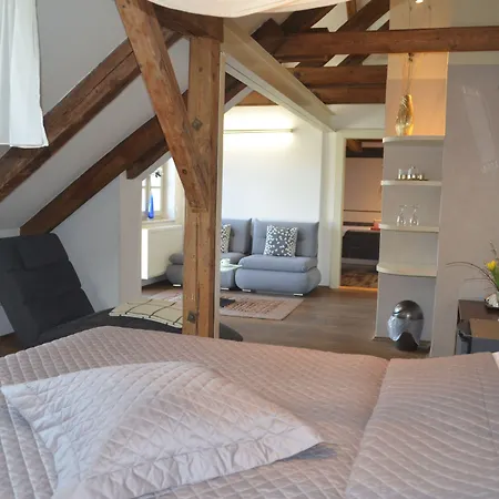 佩里格林酒店 3* Cesky Krumlov