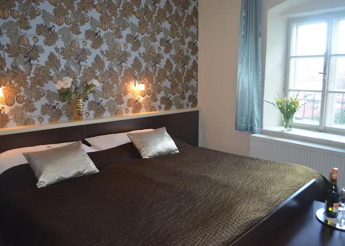 페레그린 3* 체스키크룸로프