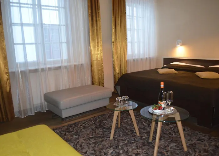 페레그린 3* 체스키크룸로프