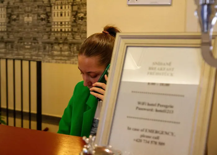 호텔 페레그린 3*