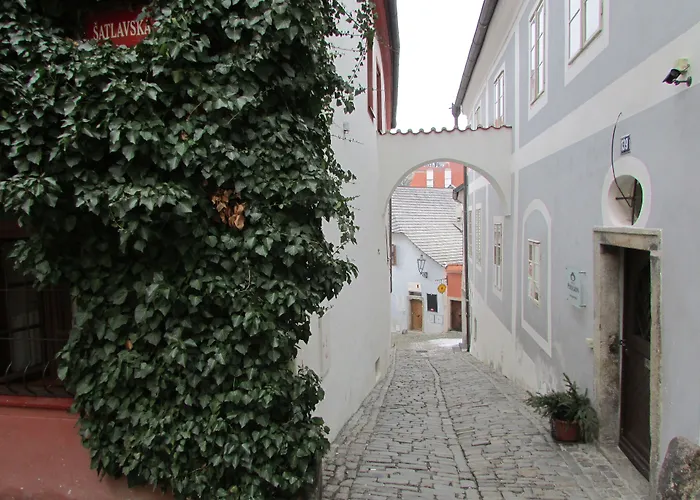 호텔 페레그린 3*