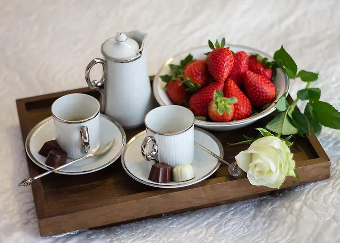 호텔 페레그린 3*